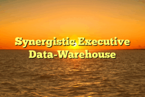 Synergistic Executive Data-Warehouse