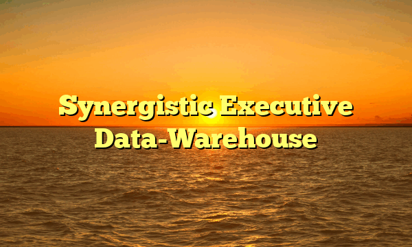 Synergistic Executive Data-Warehouse