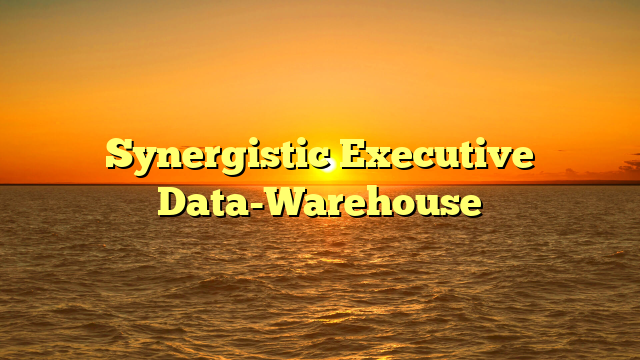 Synergistic Executive Data-Warehouse