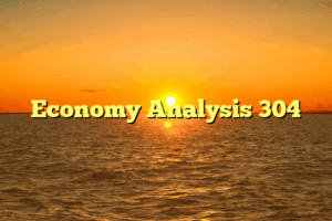 Economy Analysis 304
