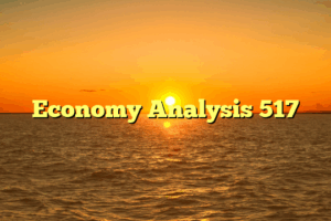 Economy Analysis 517