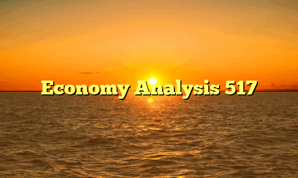 Economy Analysis 517