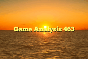Game Analysis 463